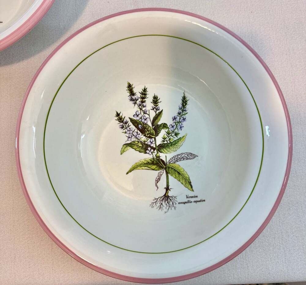 Set of 4 Large Primula Italian Botanical Soup Bowls - Picture 4 of 13